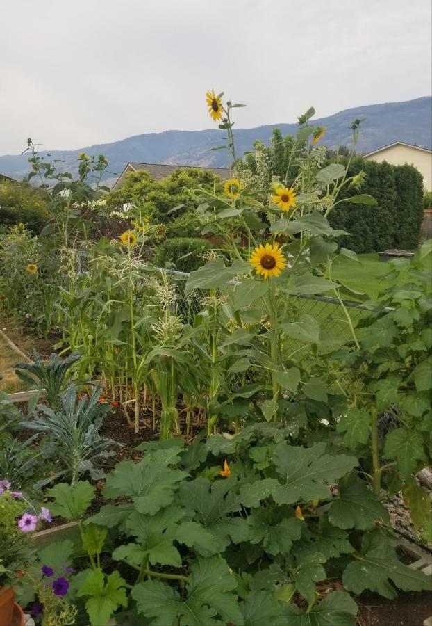 أوليفر Global Village Permaculture Bnb المظهر الخارجي الصورة